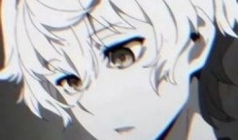 动漫白色头像,探寻虚拟世界的情感密码